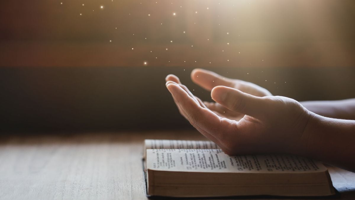 Diseño sin título (8)